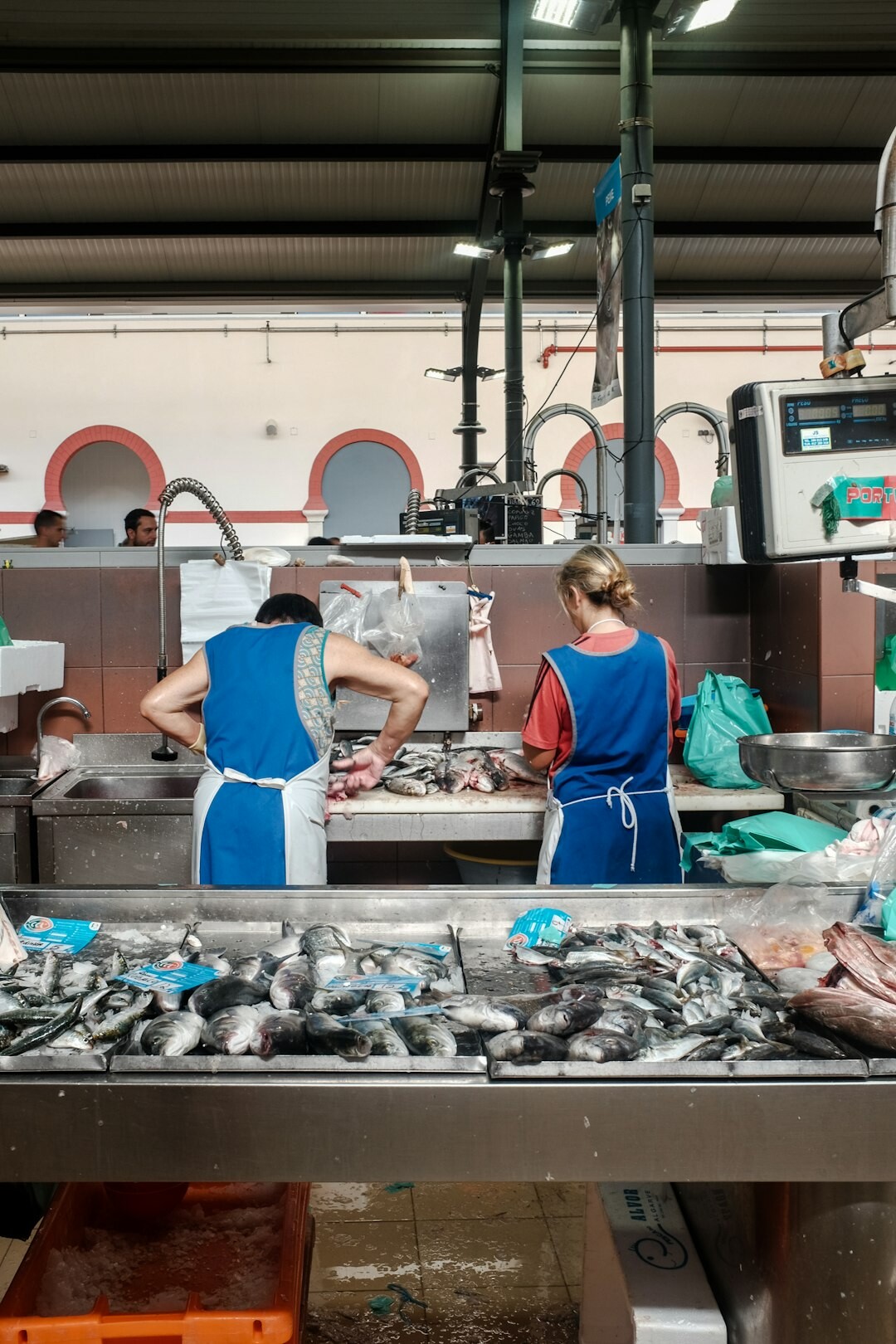 woman sorting fresh fish